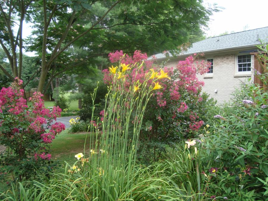 Autumn Minaret distance view 7-8-14x