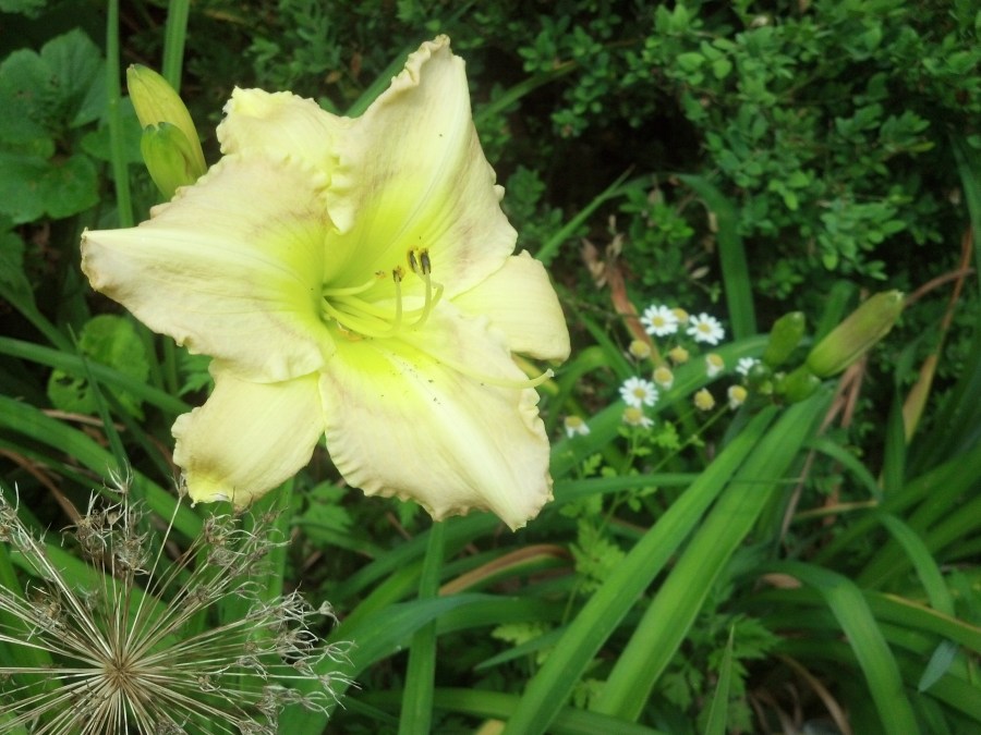 IMG_20140703_130125_495