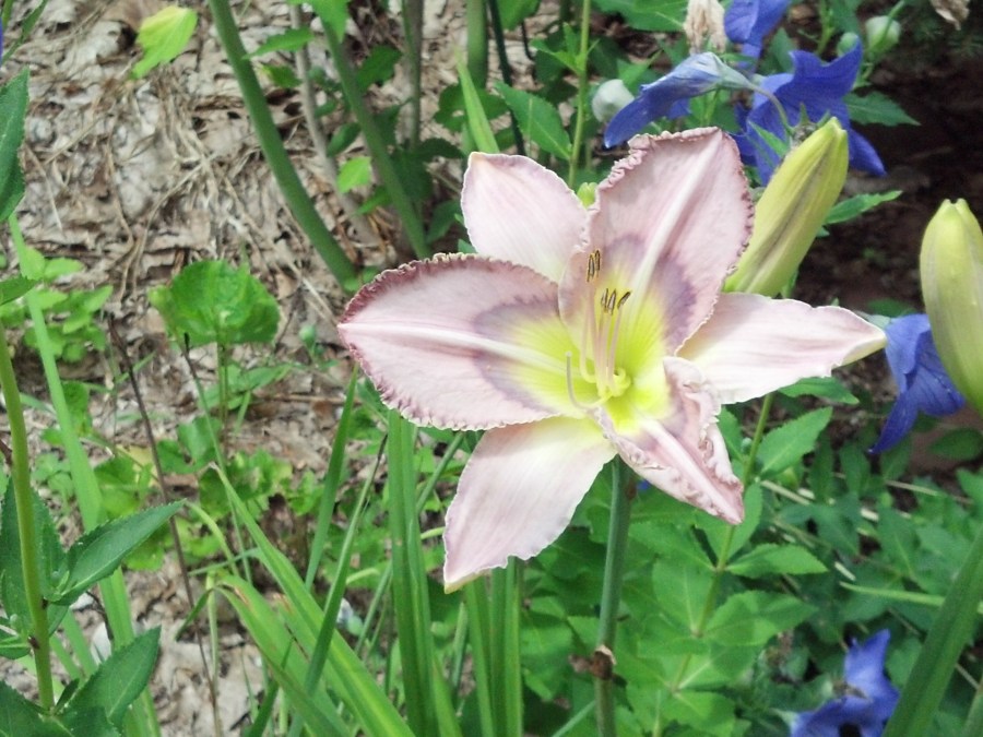 IMG_20140717_145613_438