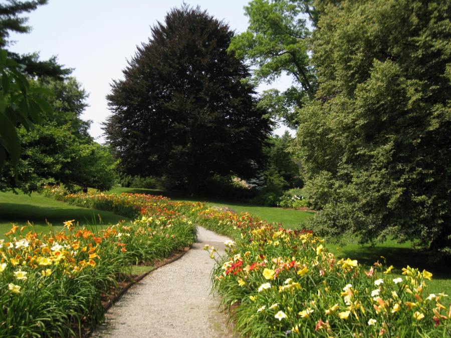 IMG_7520, Daylily Path, End