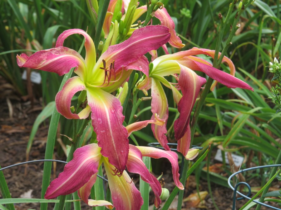 ???????????????????????????