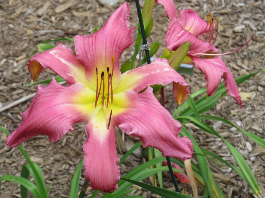 ???????????????????????????