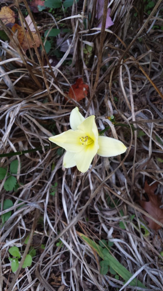 May May in October October