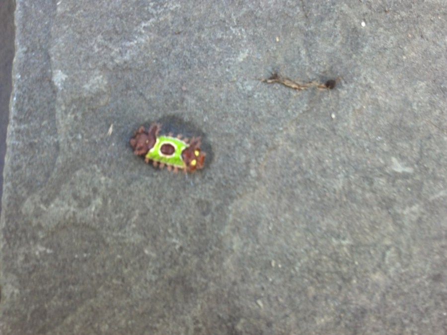 IMG_20140914_122608_468