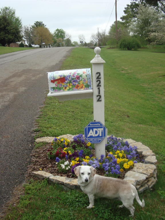Fawn and the Mailbox Garden