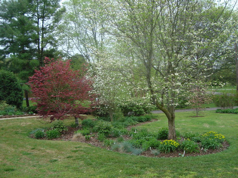 Front Perennial Garden
