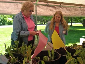 IMG00016-20100515-1129_edited-1