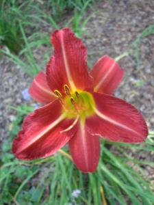 Back To School 8-21-15