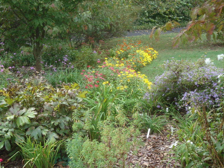 Front Perennial Garden looking south 9-27-15