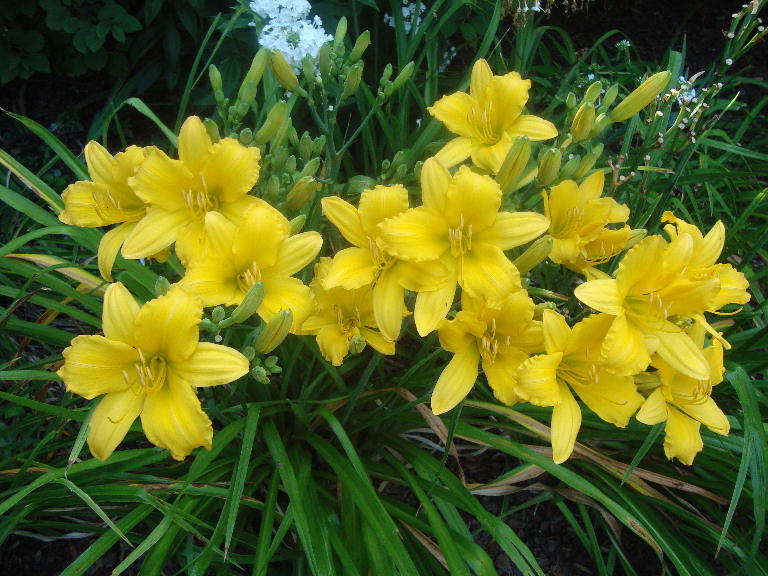 The Kind of September 7-21-16