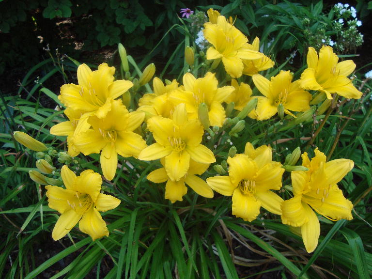 The Kind of September 7-24-16