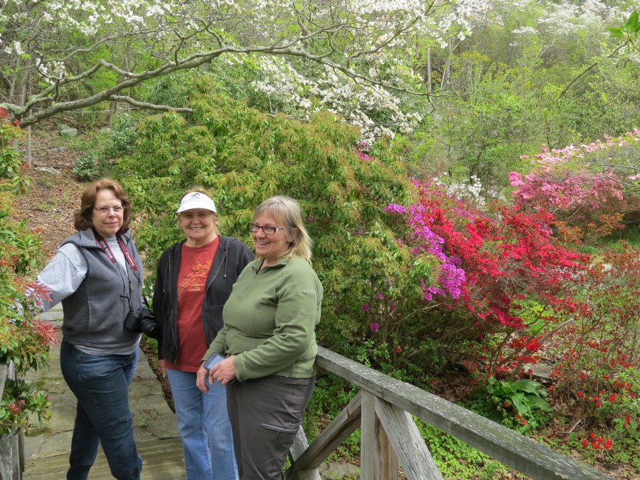 CDS Digging Party at Helene Ferrari Garden