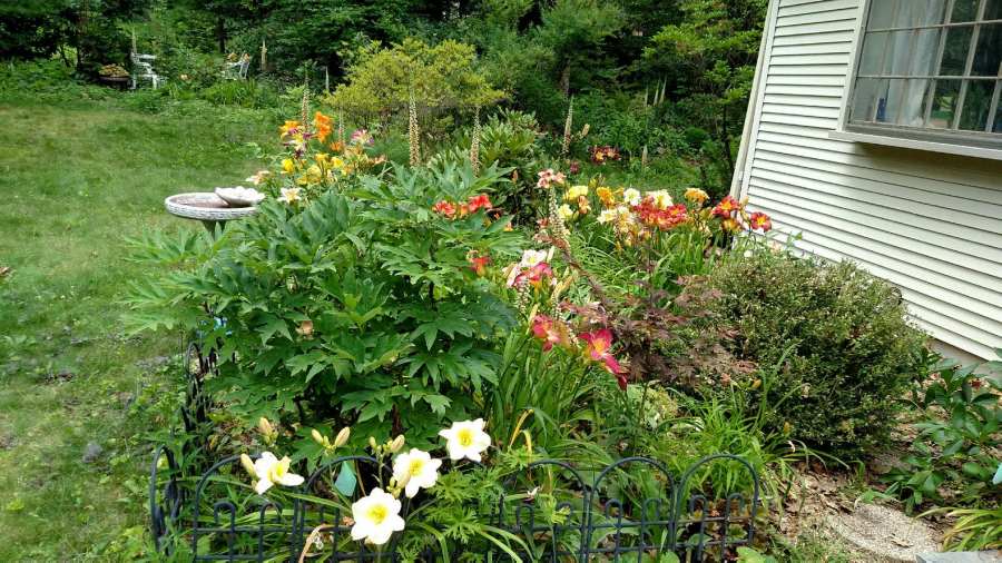 IMG_20170712_132757275