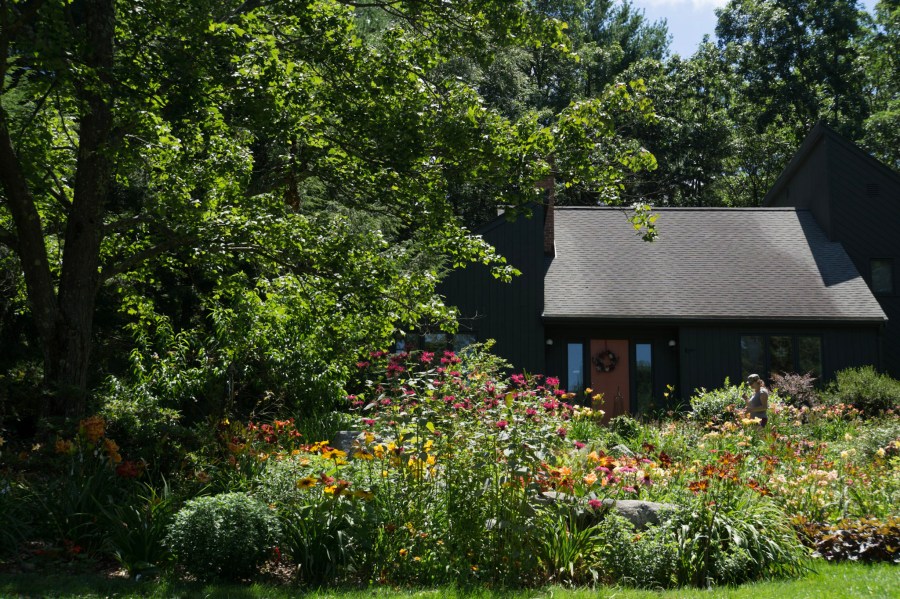 Kim Krodel Daylilies-37