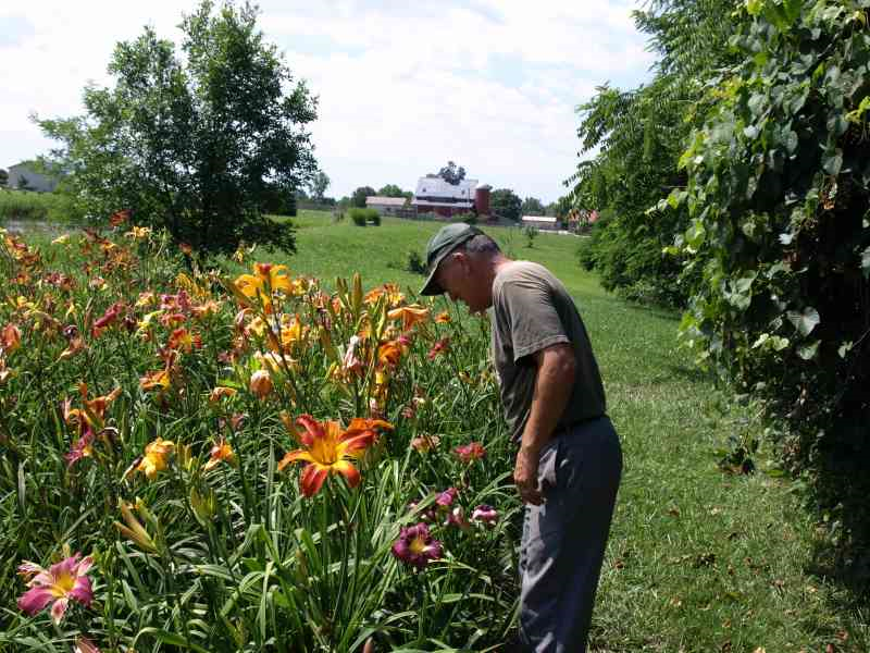 Dan Bachman in garden