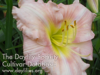 Kylemore Reflection Nancy Smith '15