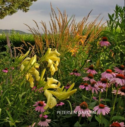 petersen-garden-text